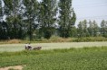 /album/menrit-04-06-2011/a06-04-2011-112-jpg/
